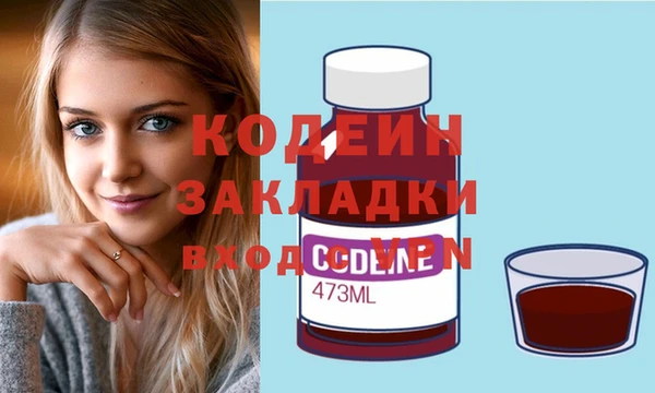 прущие грибы Инта