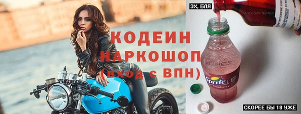 прущие грибы Инта