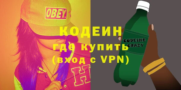прущие грибы Инта