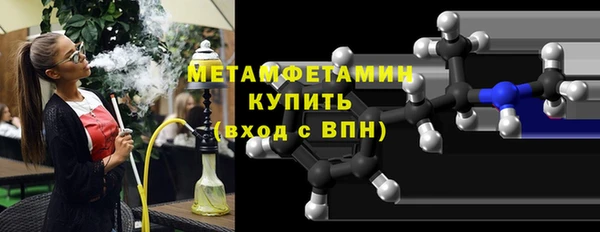 прущие грибы Инта