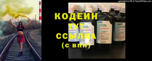 прущие грибы Инта