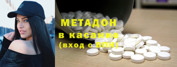 прущие грибы Инта