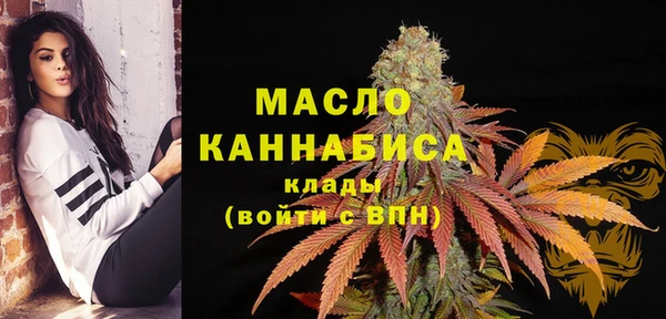 прущие грибы Инта
