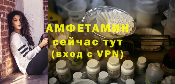 прущие грибы Инта
