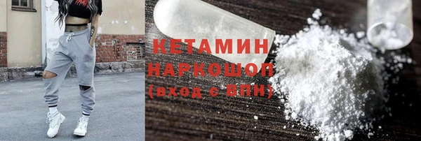 прущие грибы Инта